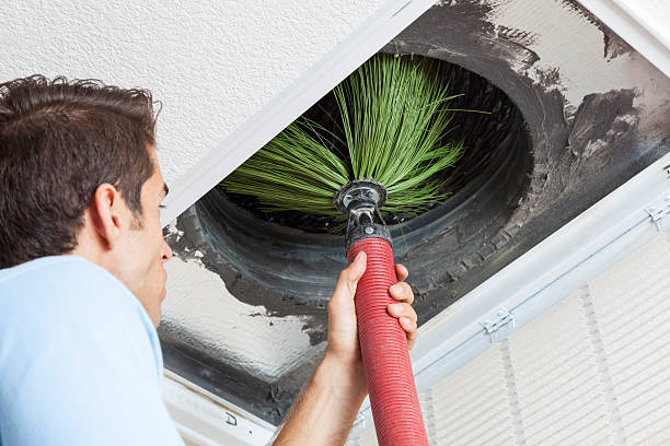 Best Local Air Duct Cleaning Services  in Waverly, IA